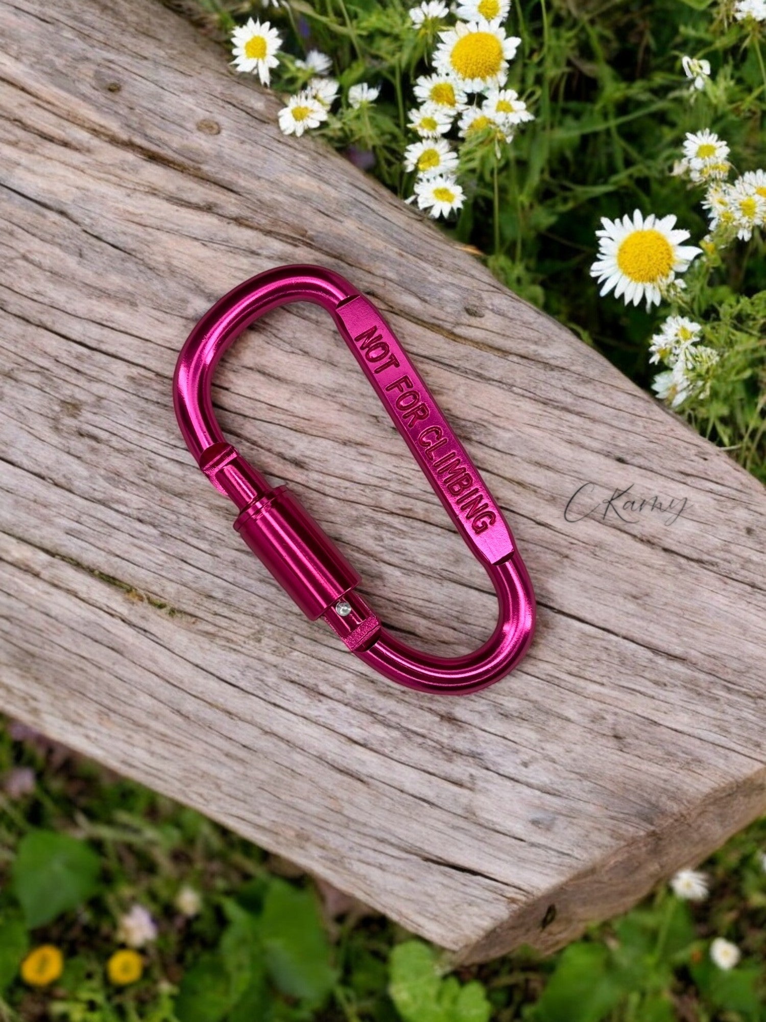 Mousqueton sécurité rose