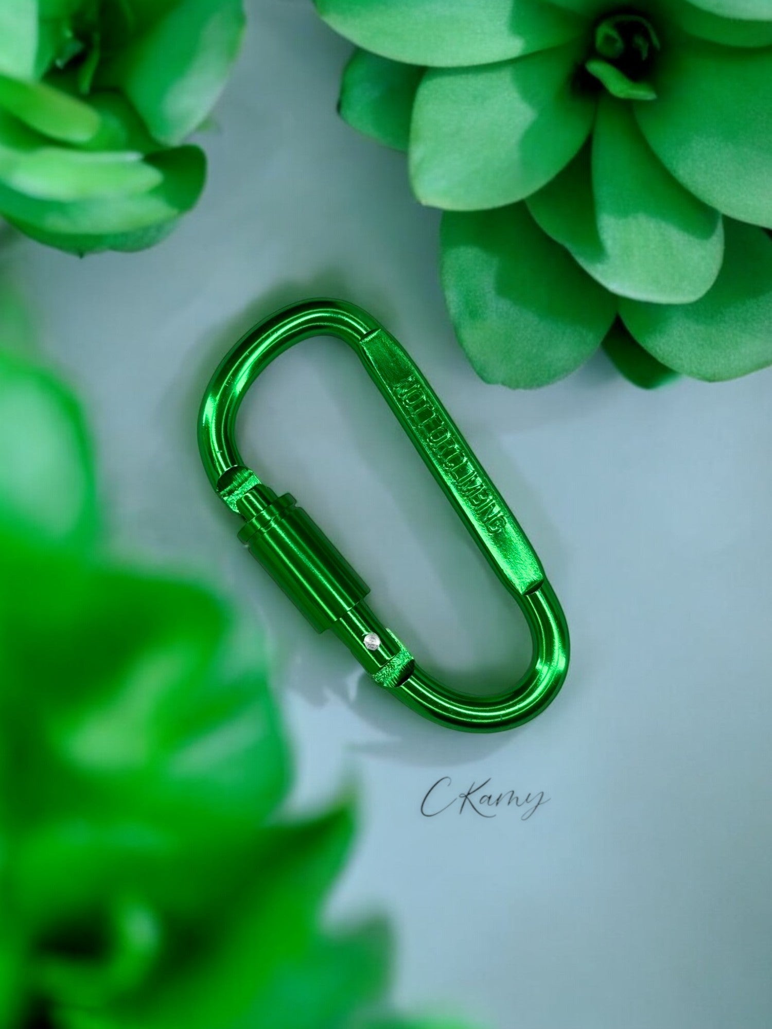 Mousqueton sécurité vert