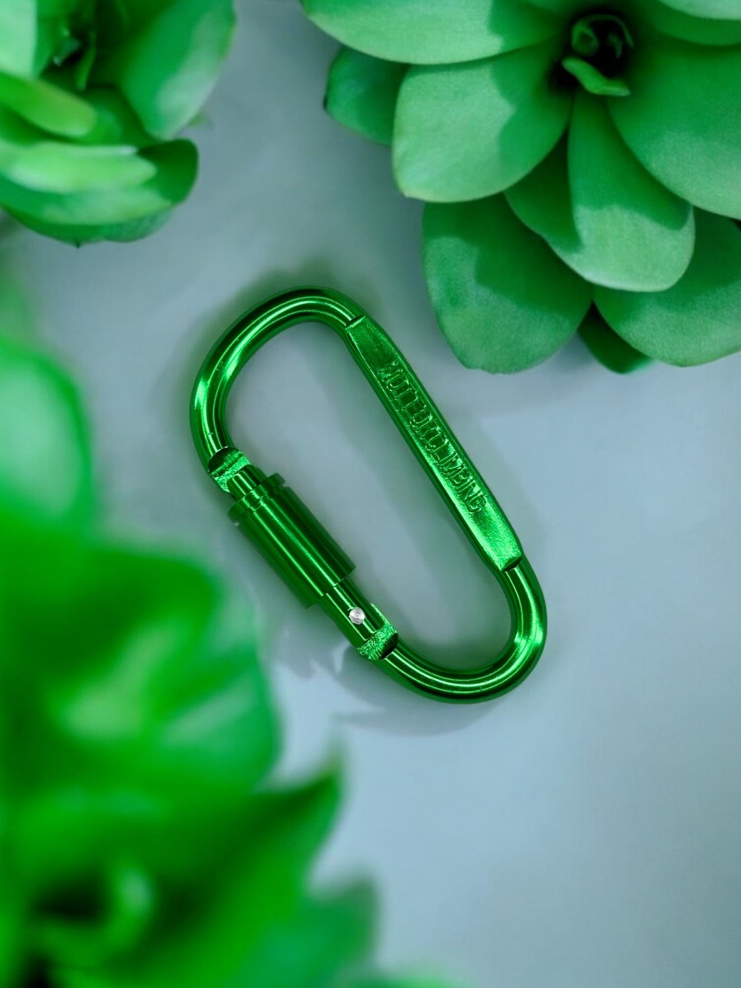 Mousqueton sécurité vert