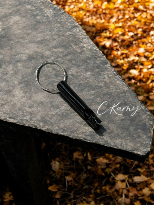 Porte clé sifflet noir